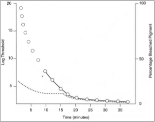 <p>shining different wavelengths of light into the eye and measuring the amount of light reflected back </p><ul><li><p>unreflected light indicates absorption</p></li></ul><p></p>
