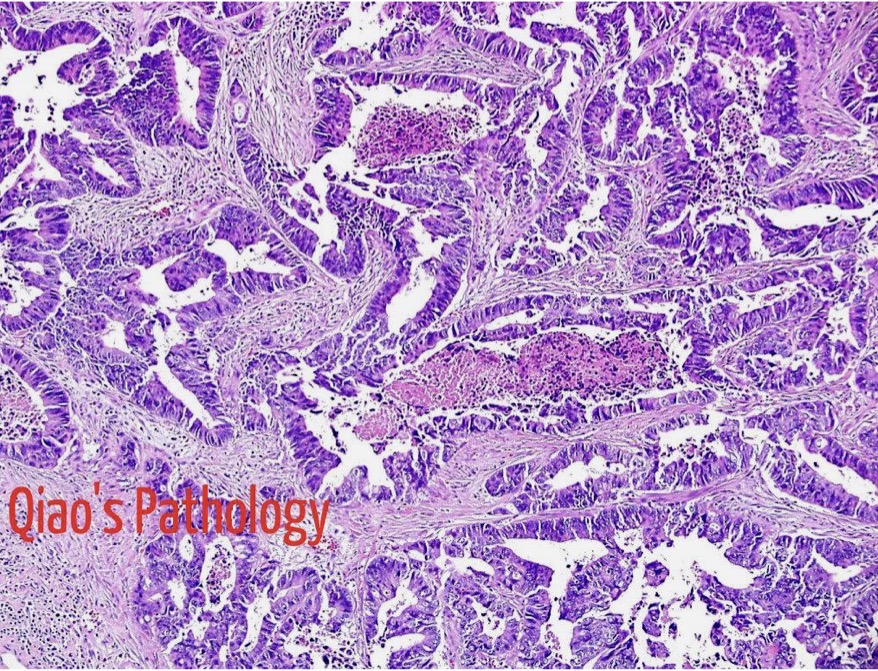 <p>A- identify</p><p>B- describe</p><p>C- originate from ?</p>