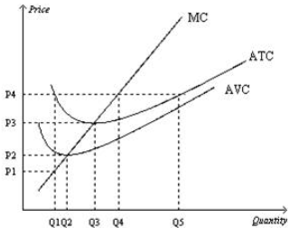 Suppose a firm operating in a competitive market has the following cost curves. When price rises from P2 to P3, the firm finds that