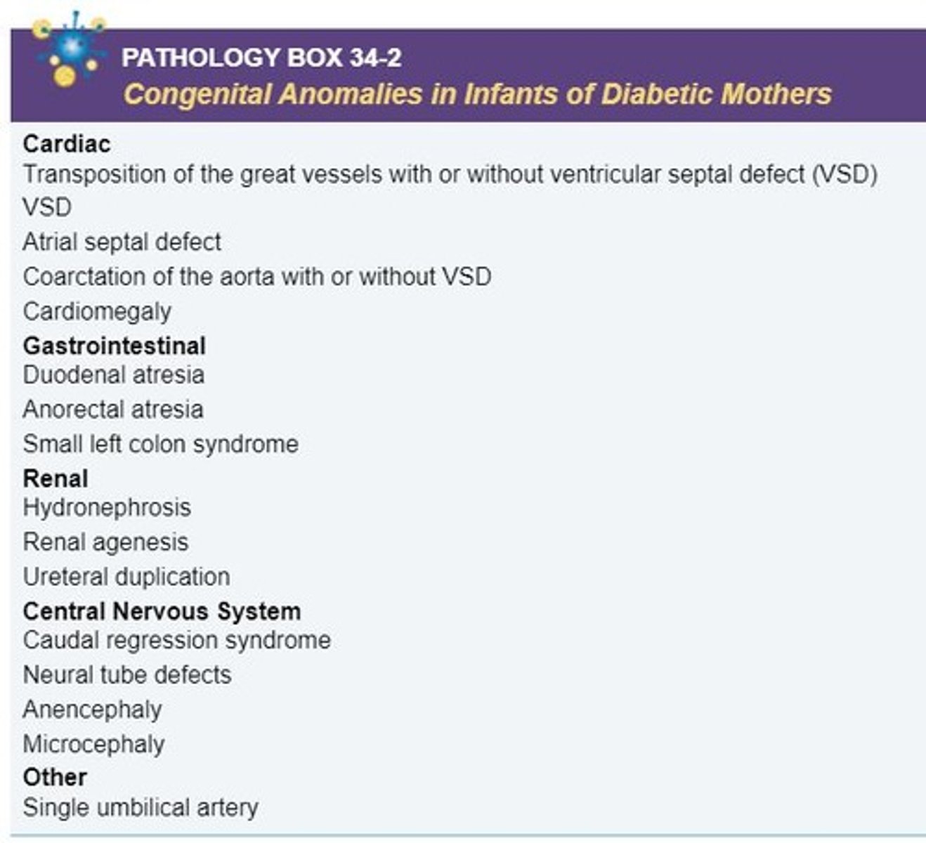 <p>High blood sugar levels result in disruption of embryonic organogensis</p>