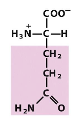 <p>Which amino acid is this (from slides)?</p>