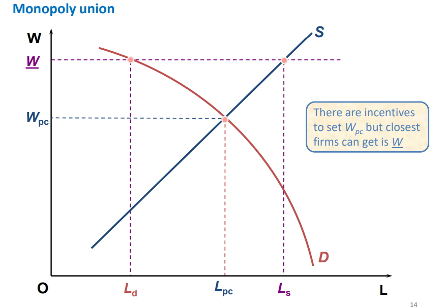 <p>sets minimum wage above equilibrium wage</p><p>causes excess supply = unemployment (difference between Ls and Ld)</p><p>because rise in wage increases firm costs which shifts supply in output market → demand less labour in labour market (from Lpc to Ld)</p>