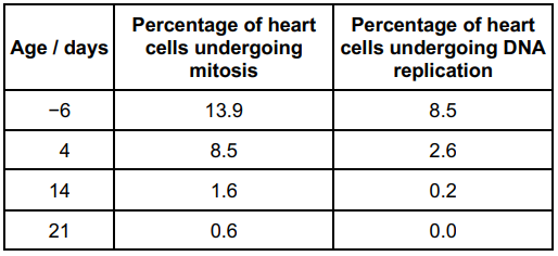 <p>Scientists investigated the cell cycle in heart cells taken from mice 6 days before their birth and then at 4, 14 and 21 days after their birth.</p><p>Their results are shown in the table. Age 0 days = day of birth.</p><p>Describe and explain the data in the table above (2) </p>