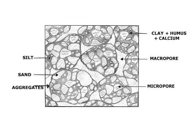 <p>Macropores Diameter</p>