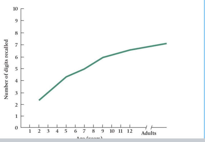 <ul><li><p>E.g., Digit Span Task</p><ul><li><p>Given series of numbers that you have to repeat them back. If you were successful, the person in charge of experiment will increase the amount of numbers they give you</p></li></ul></li><li><p>Up until about the age of 7 to 9 years old, children’s memory span is equal to their age (in years).</p><ul><li><p>A 2 yr old can hold 2 pieces of information. 3 yr old can hold 3 pieces of information etc….</p></li></ul></li><li><p>With development, individuals are able to use their memory span in more difficult tasks.</p></li></ul><p></p>