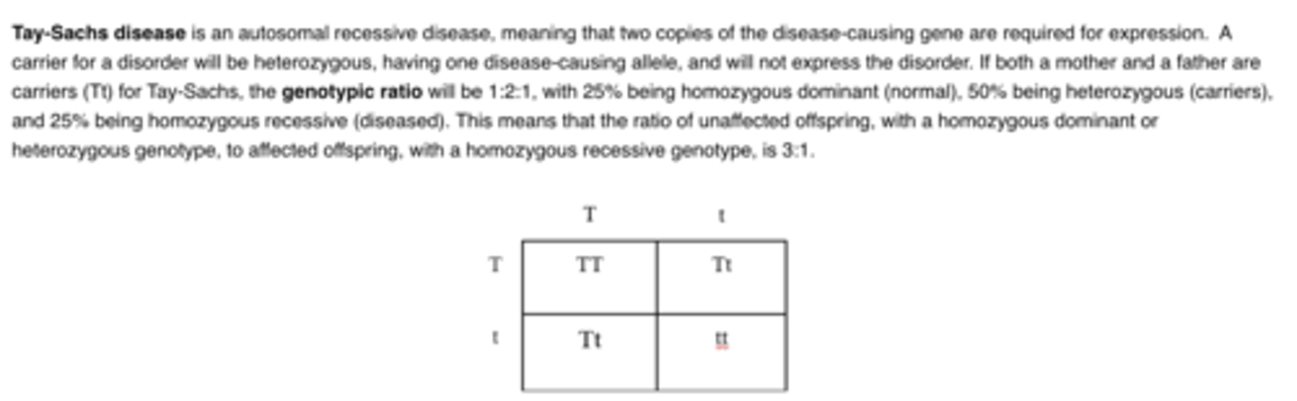 <p>C.3:1</p>