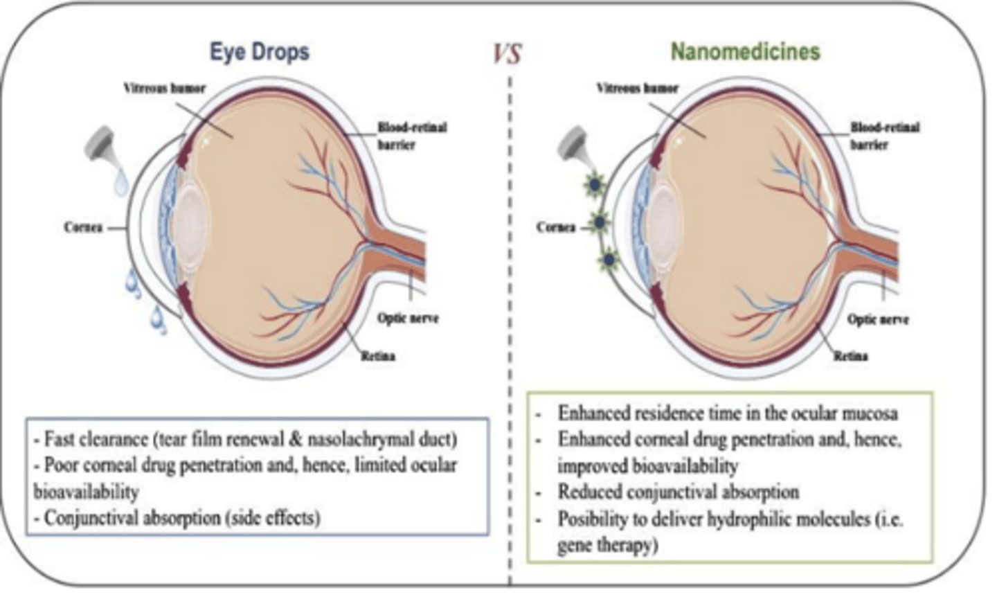 <p>application of drug into the eye</p><p>- conjunctival, topical, intra-ocular</p>