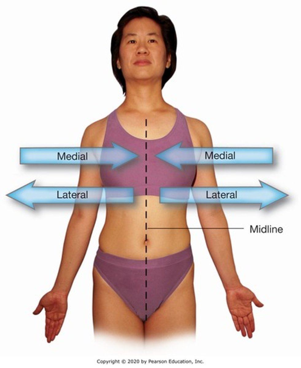 <p>moving toward the midline of the body.</p>