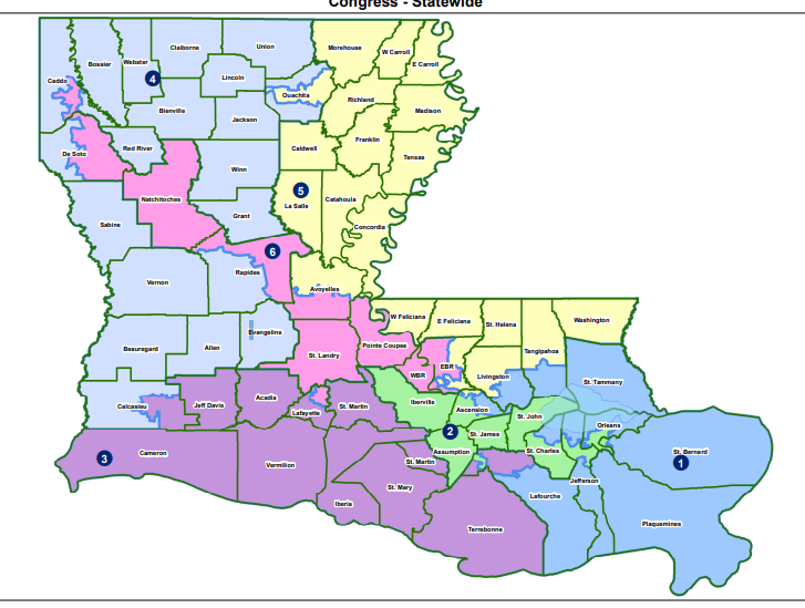 <p>Louisiana receives 6 representatives in the House of Representatives. Who are they? (In order of district 1-6). </p><ul><li><p>District 6 includes Baton Rouge</p></li><li><p>District 2 includes New Orleans</p></li></ul><p></p>