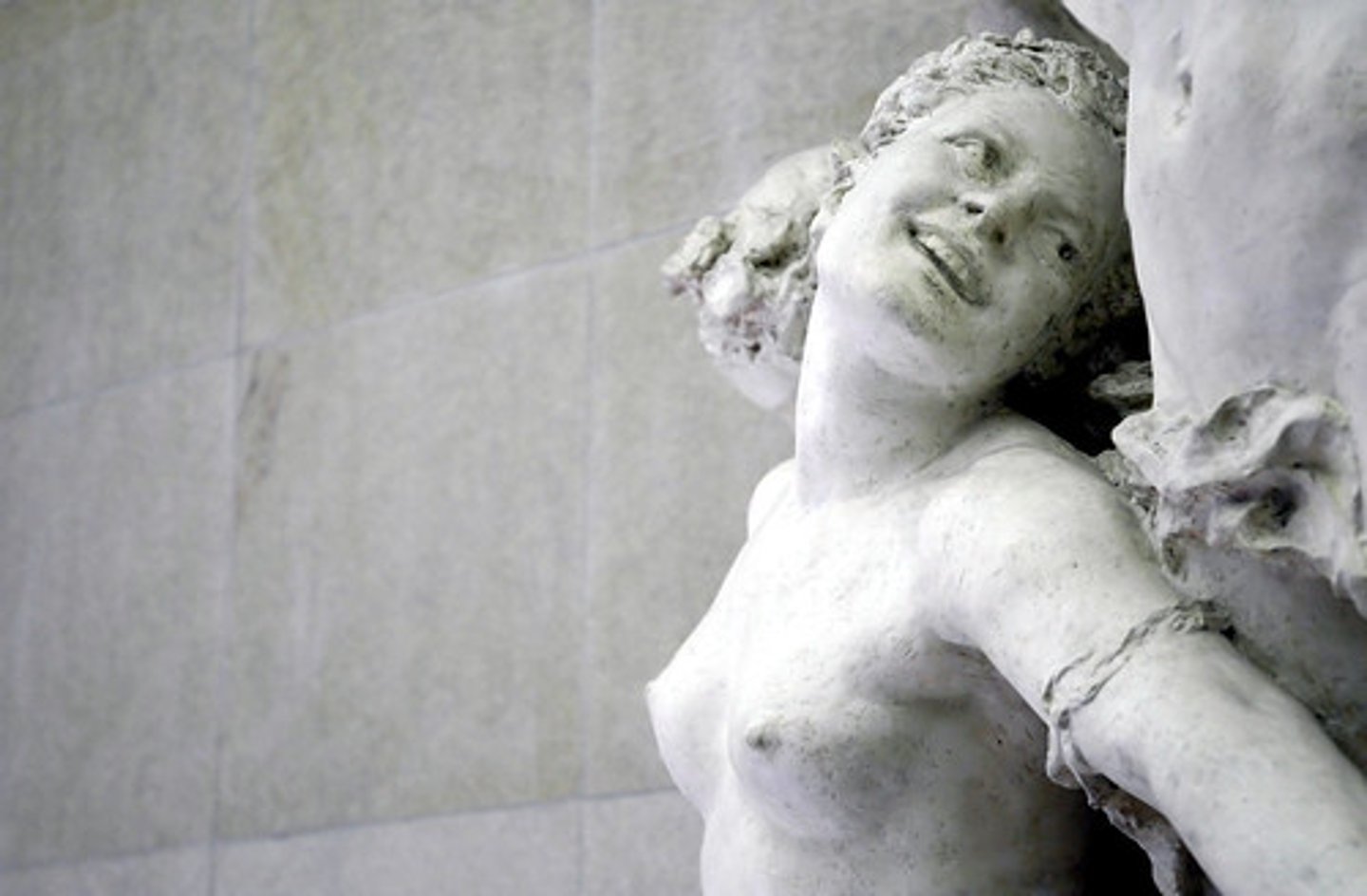 <p>breasts</p>