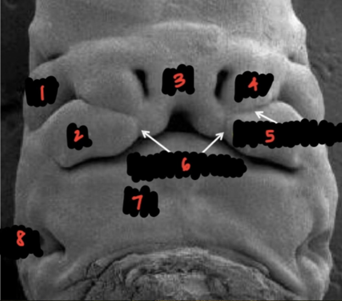 <p>2</p>