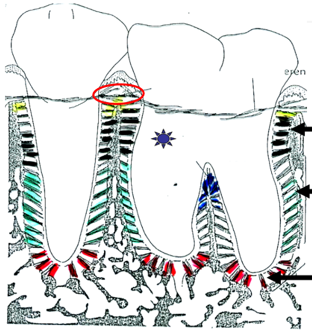 <p>What is this?</p>