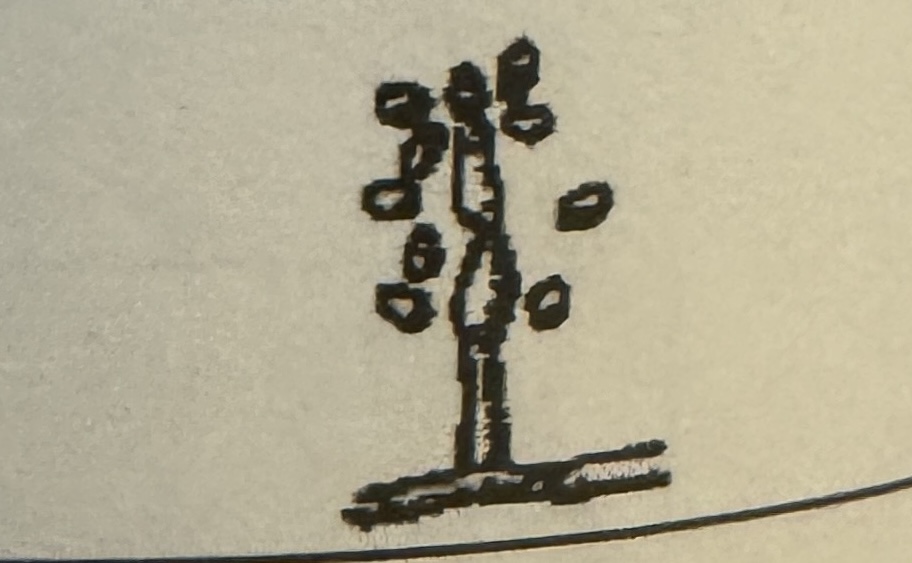 <p>what is illustrated</p>