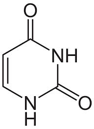 <p>What kind of molecule is this? It is purine or pyrimidine</p>