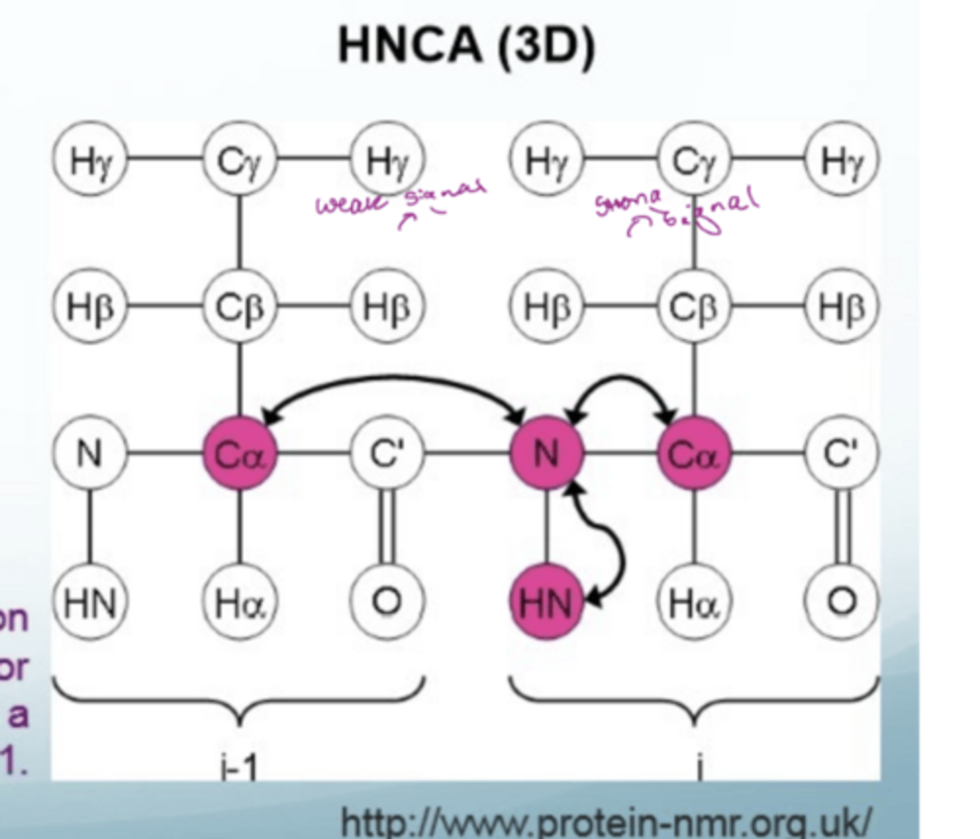 <p>3D method of biomolecular NMR</p><p>magnetisation transferred from the H amide to the N and then to the alpha C and back again</p><p>useful for backbone assignment</p>