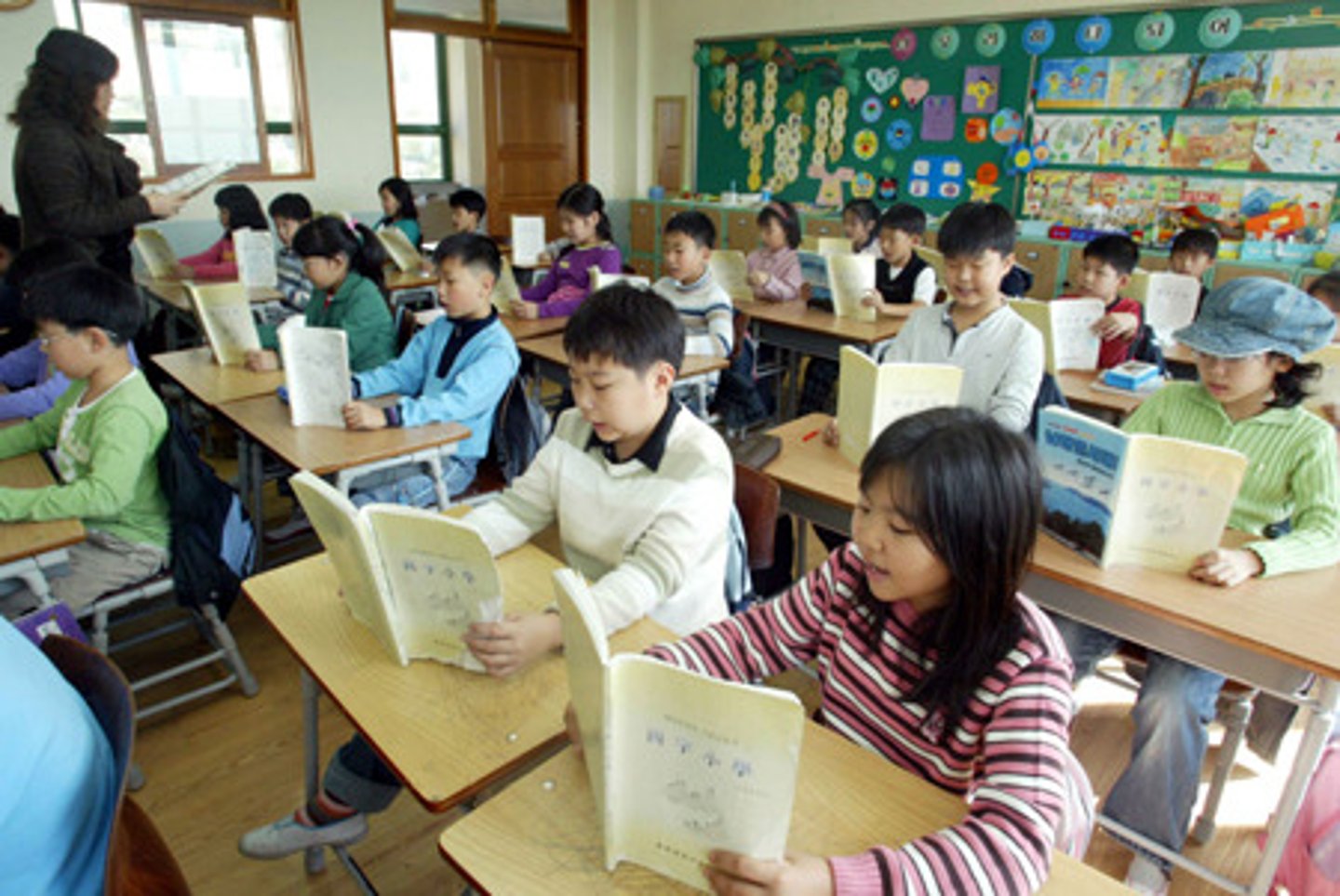 <p>elementary school student</p>