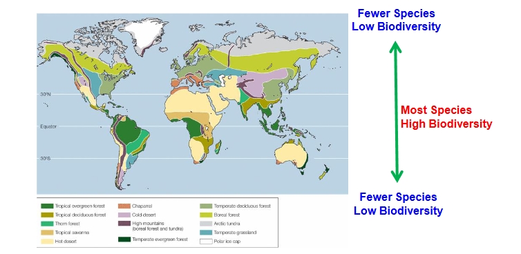 <p>Latitudinal Gradient in Biodiversity</p>