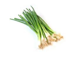 thin, hollowed vegetables with a short white bottom that changes to yellow-green tops. They have roots on the bottom as well. Their smell is very distinctive as you can tell that they are onions!