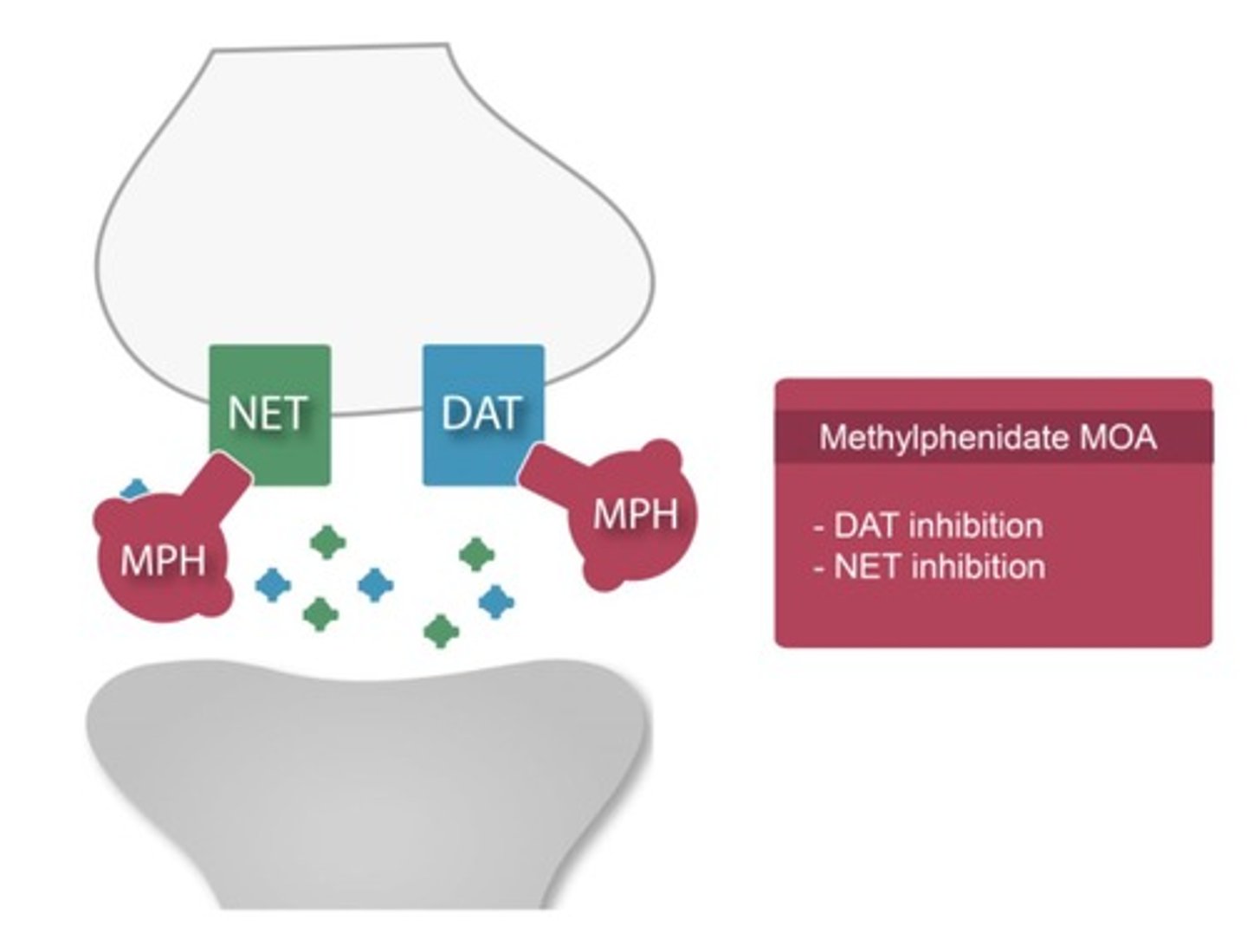 <p>They increase dopaminergic and noradrenergic activity, improving attention &amp; impulse control.</p>