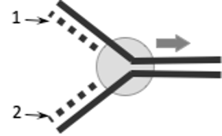 <p><span style="font-family: Arial, sans-serif;"><span>A DNA replication fork is shown below. The strand labeled ‘1’ is called the … strand.</span></span></p>