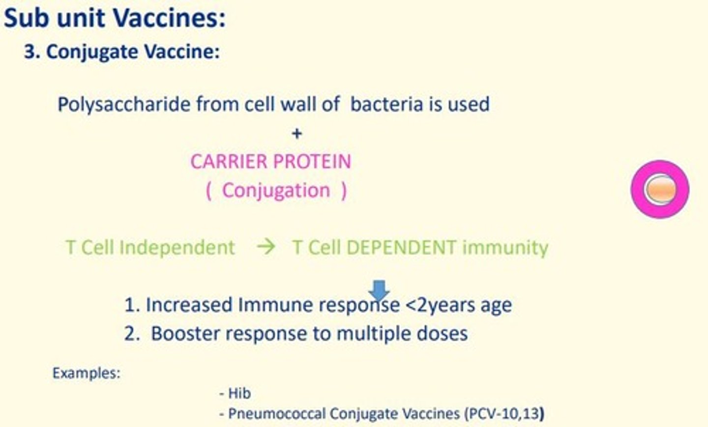 <p>Utilizes polysaccharide bound to carrier protein to induce long-term protection</p><p>Examples</p><p>- Pneumococcal Conjugate Vaccines (PCV-10, 13)</p>