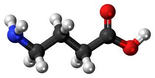 <p><strong>The neurotransmitter GABA mainly functions to trigger inhibitory postsynaptic potentials (IPSPs). Therefore, when explaining this to a group of nursing students, the nurse will state that</strong></p><p>A) it takes at least three chemical substances (amino acids, neuropeptides, and monoamines) to stimulate any activity between the cells.</p><p>B) there is a symbiotic relationship; therefore, the end result will be depolarization of the postsynaptic membrane.</p><p>C) the combination of GABA with a receptor site is inhibitory since it causes the local nerve membrane to become hyperpolarized and less excitable.</p><p>D) the neurotransmitters will interact with cholinergic receptors to bind to acetylcholine in order to produce hypopolarization within the cell.</p>