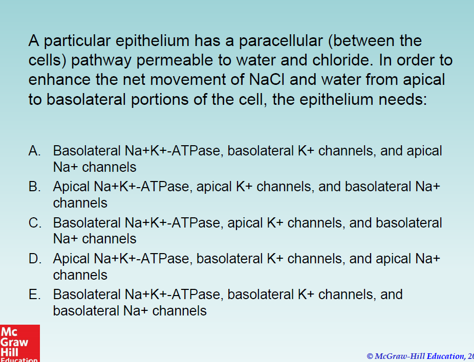 <p>What is the answer to this question?</p>