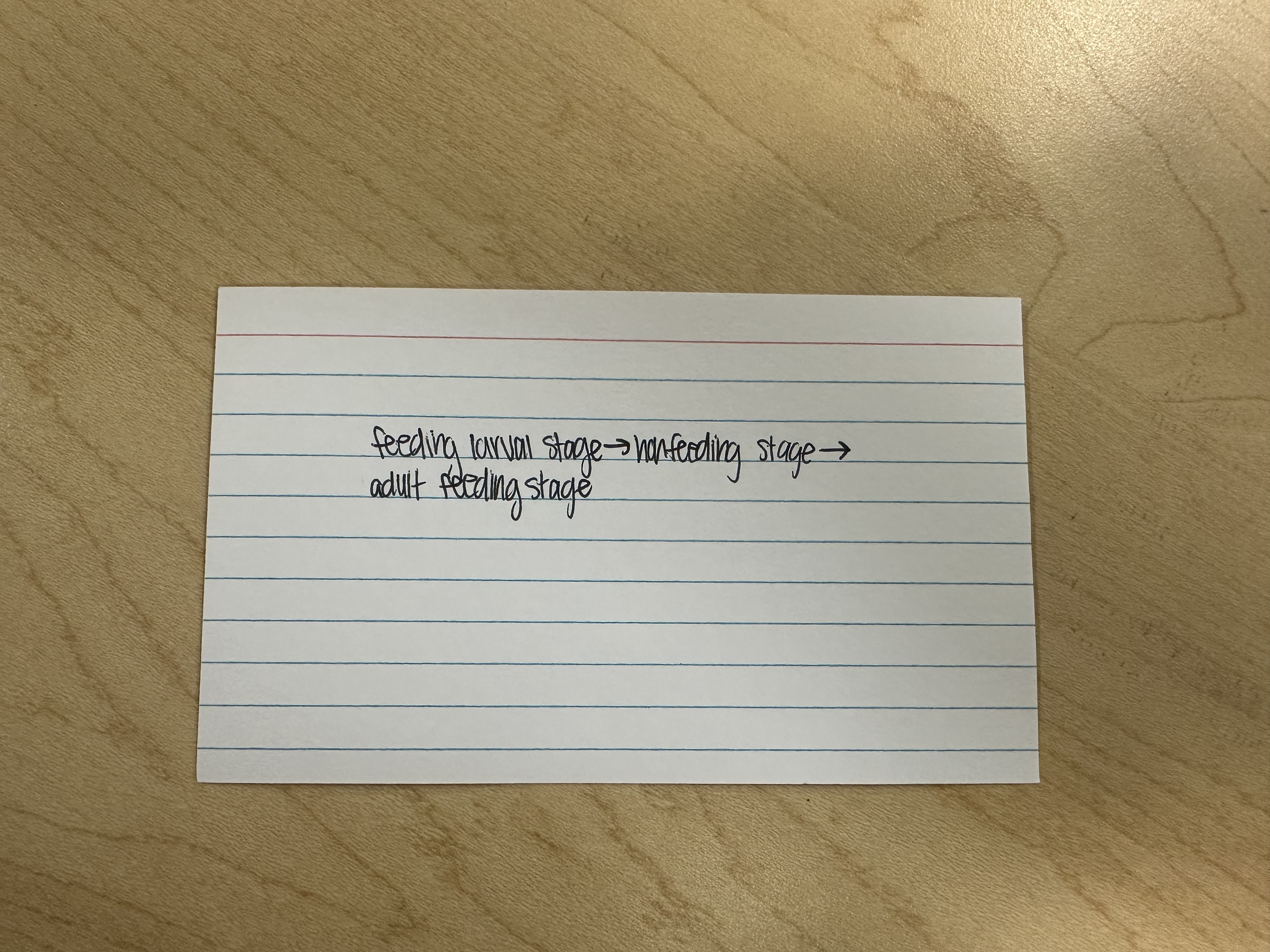 knowt flashcard image
