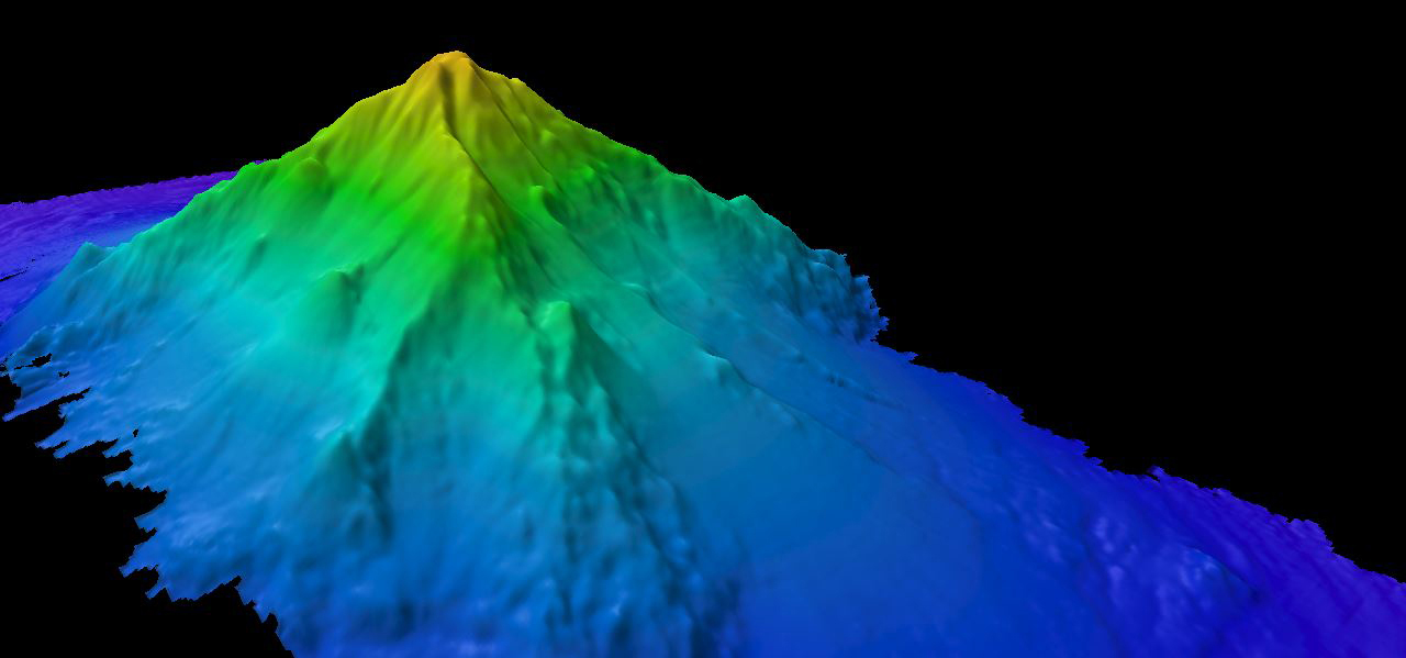 <p>part of the deep ocean basin</p><p>made of extinict or active volcanos</p><p>conical toop and steep sides</p>