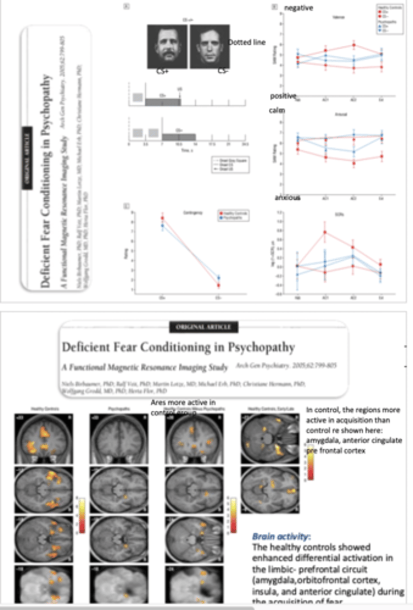 <p>Niels et al. (2005)</p><p>- did fMRI &amp; skin conductance &amp; self report</p><p>- recruited criminals from prison with psychopathy</p><p>- used aversive conditioning paradigm (painful stimulation when mustache man showed)</p><p>RESULTS=</p><p>- no difference in contingency rating (psychopaths cognitively normal)</p><p>- controls valance changes for the guy presented with painful stimulation but for psychopaths there is no difference between the valence for the 2 guys</p><p>- controls and psychopaths arousal guys up with moustache guy presented</p><p>- controls skin conductance increased during association learning but psychopaths stay the same</p><p>- controls show bilateral insula, mygdala, PFC, anterior cingulate cortex activation during assocation learning</p><p>- but not in psychopaths, the idea that psychopathy is associated with cold detached processing (they know the words but dont know the music)</p>