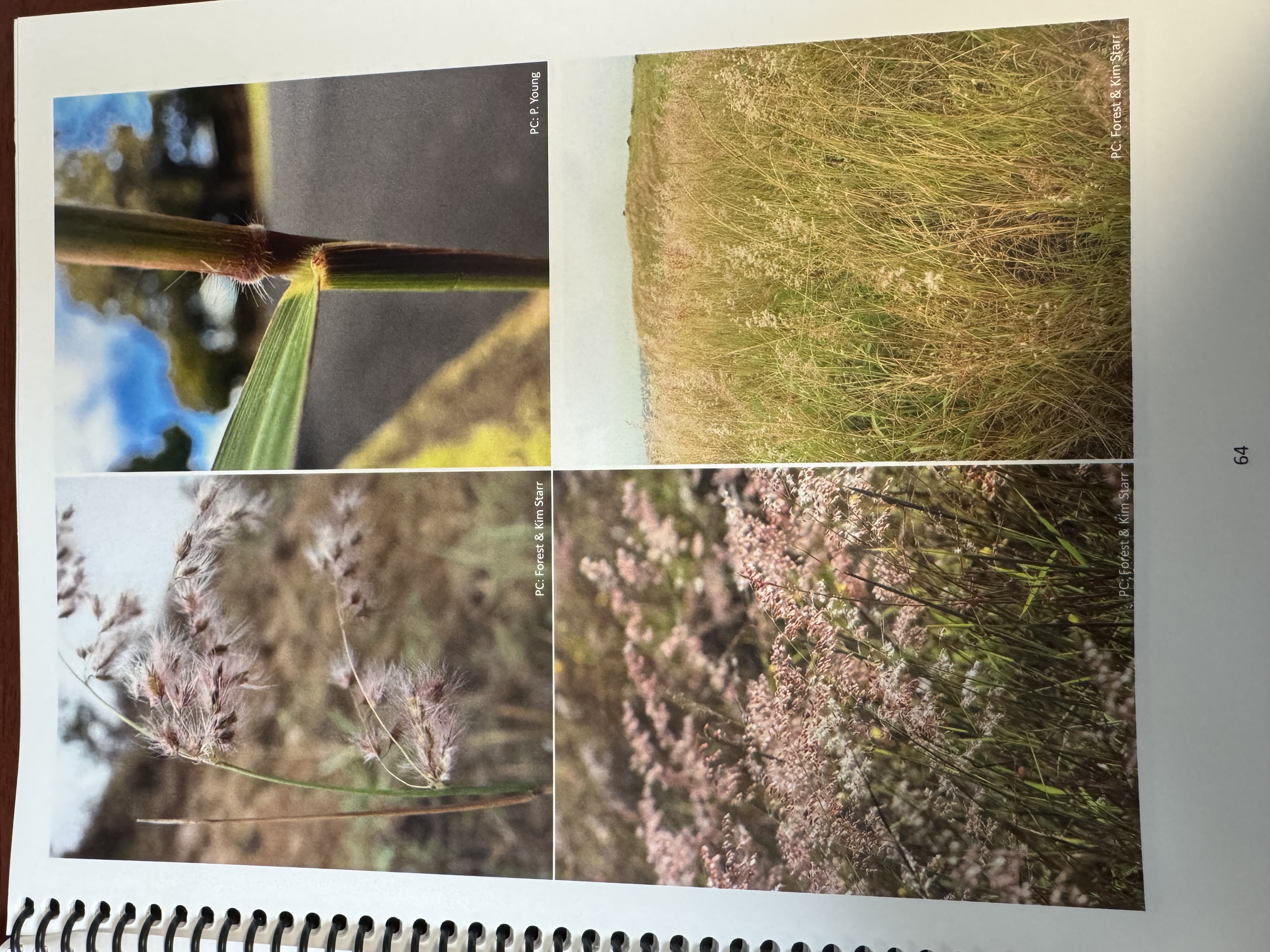 <img src="blob:null/a99d860a-3695-495b-a5c7-b07eed5021c4"><p></p>