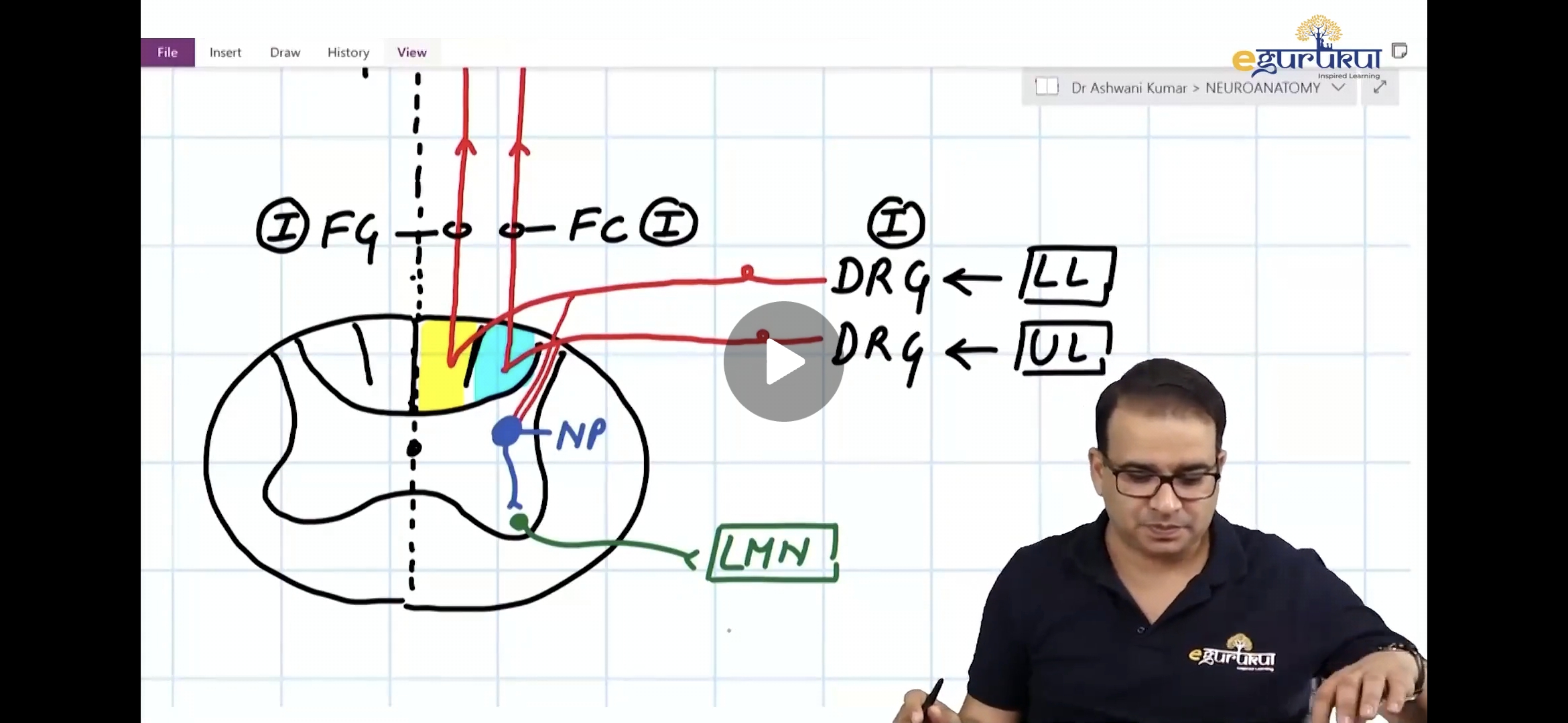 knowt flashcard image