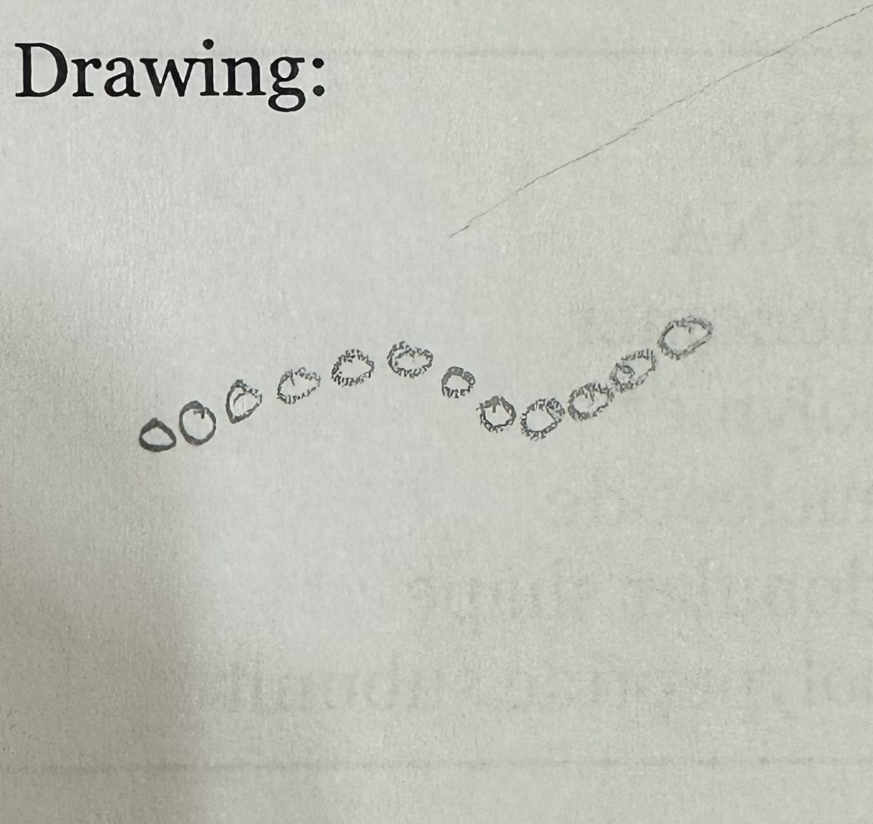 <p></p>