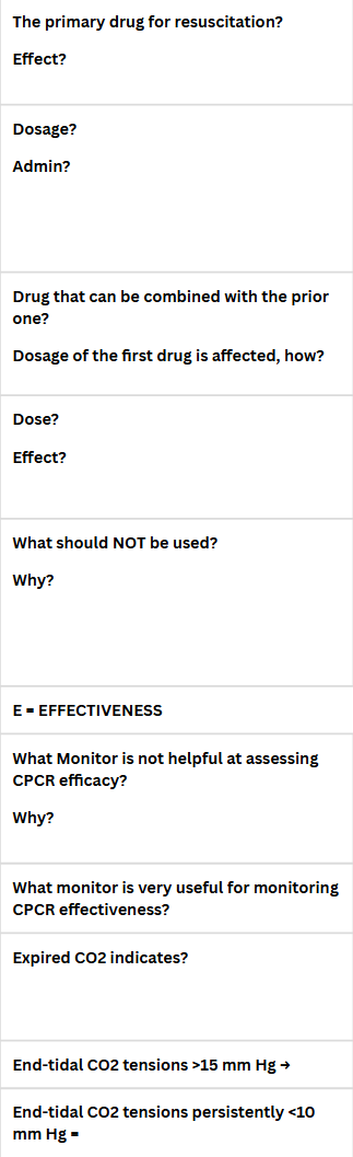 <p>Foal Resuscitation</p>