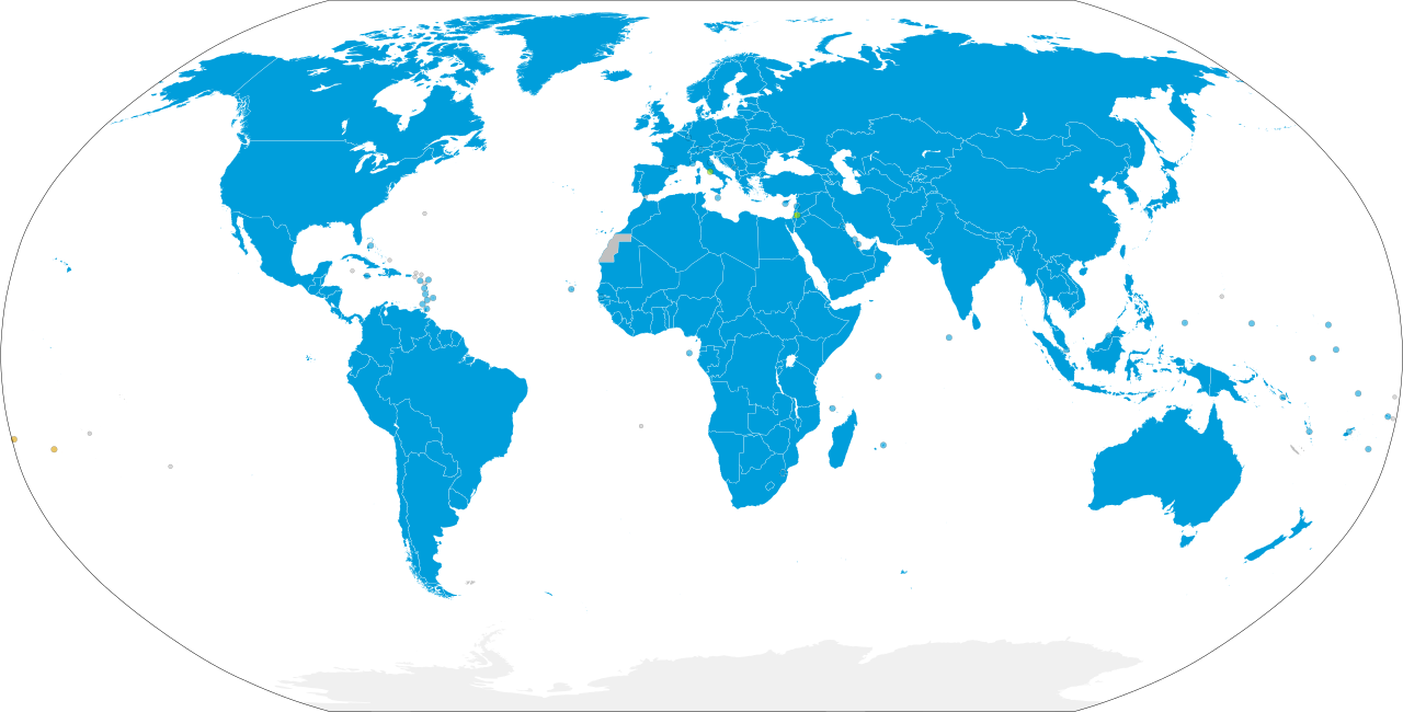 <p><span>International body where member countries cooperate to address global issues like peace, security, economic development, and human rights, essentially working beyond the authority of individual nations to achieve collective goals</span></p>