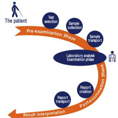 <p><strong>Planning the Workflow of Clinical Labs:</strong></p><ul><li><p>Planning in the clinical laboratory considers the <strong>entire set of operations that occur in testing of patient samples</strong></p></li><li><p><u>begins</u> with the <strong>patient</strong> and <u>ends</u> in <strong>reporting and results</strong> interpretation.</p></li></ul>