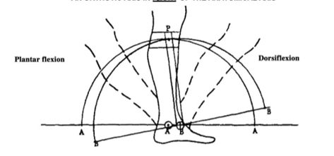 <p>Calf band will move posterior and proximal and pressure will occur on the anterior portion of the leg </p>