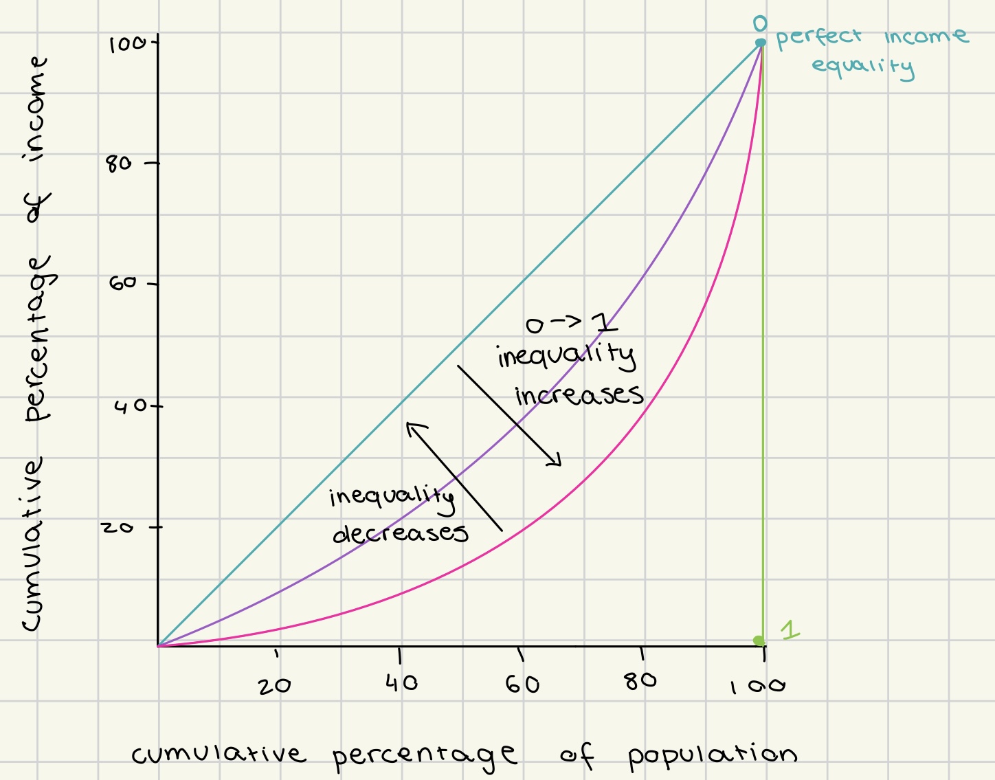 <ul><li><p>used to show degree of income/ wealth inequality in a economy</p></li></ul><p></p>