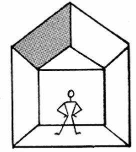 <p>Ceiling Type</p>