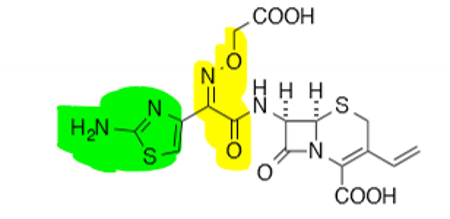 <p>Third Generation Cephalosporin, Bad leaving group (Orally active), more gram (-) coverage, enhanced stability vs B-Lactamases</p>