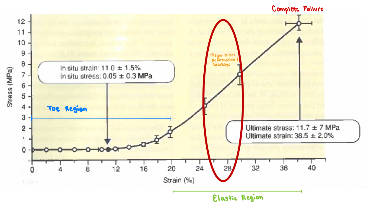 <p>Maximal elastic region is <strong>~20% strain</strong></p>