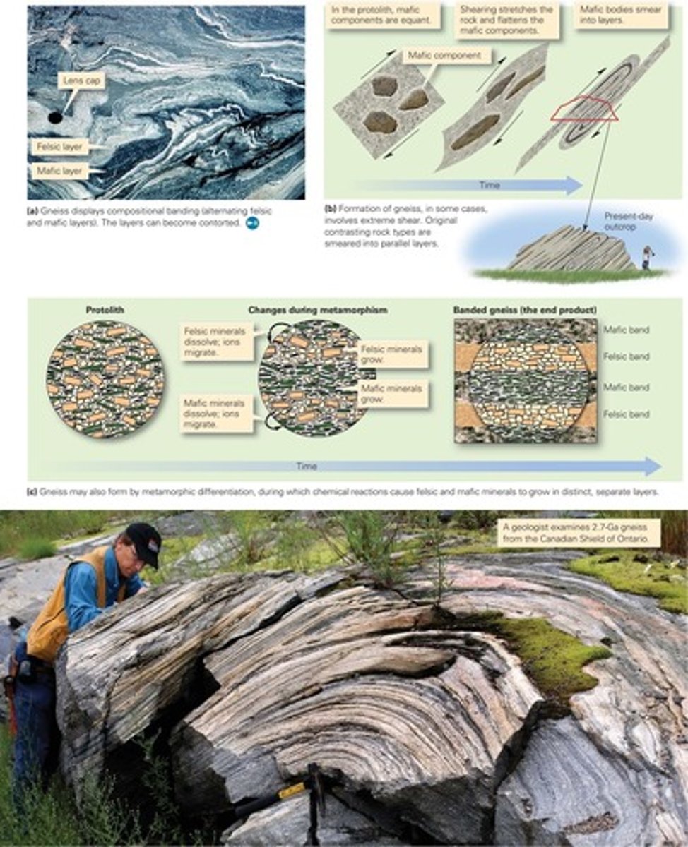 <p>alternating layers or lenses of light and dark medium to coarse grained minerals</p><p>Some evolved directly from the original bedding in a rock. For example, metamorphism of a protolith consisting of alternating beds of sandstone and shale produces a gneiss consisting of alternating beds of quartzite and mica</p><p>can also form when the protolith undergoes an extreme amount of shearing under conditions in which the rock can flow like soft plastic</p>