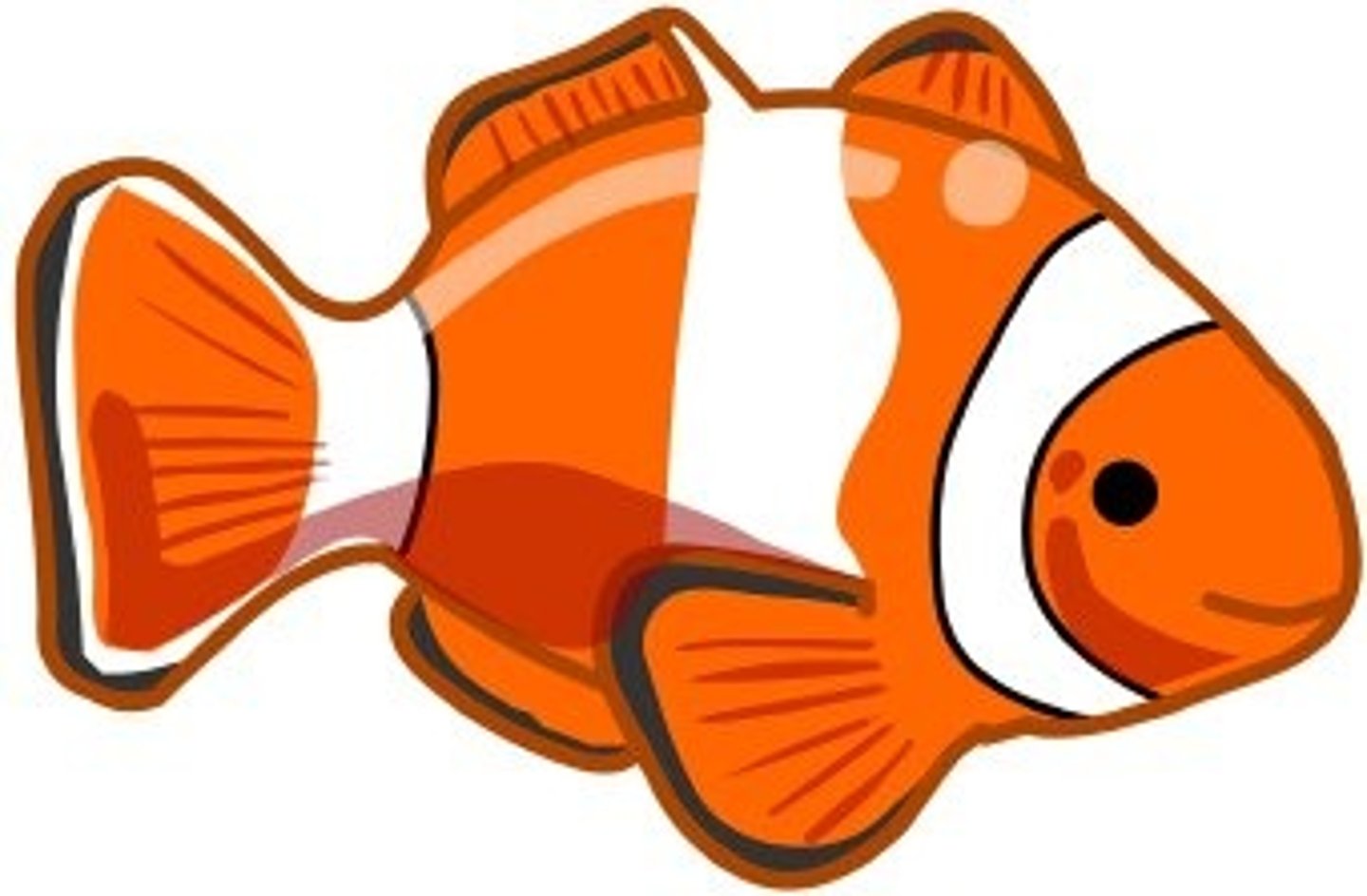 <p>fish</p>