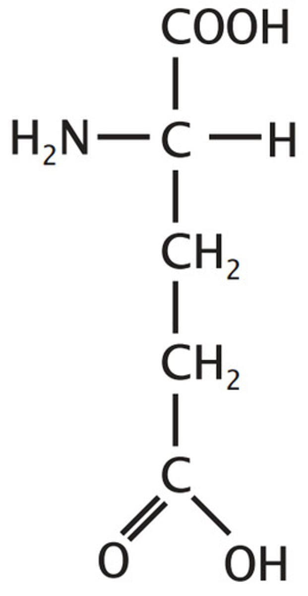 <p>polar, hydrophilic, acidic</p><p>R: ethyl carboxy</p>