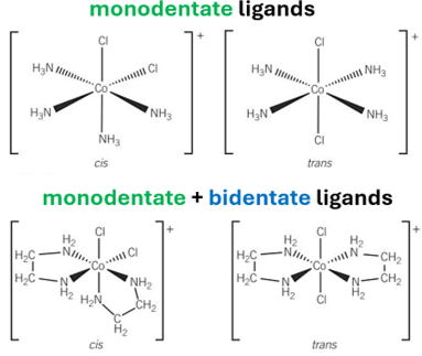 <p>-monodentate ligands</p><p>-mixture of monodentate + bidentate ligands </p>
