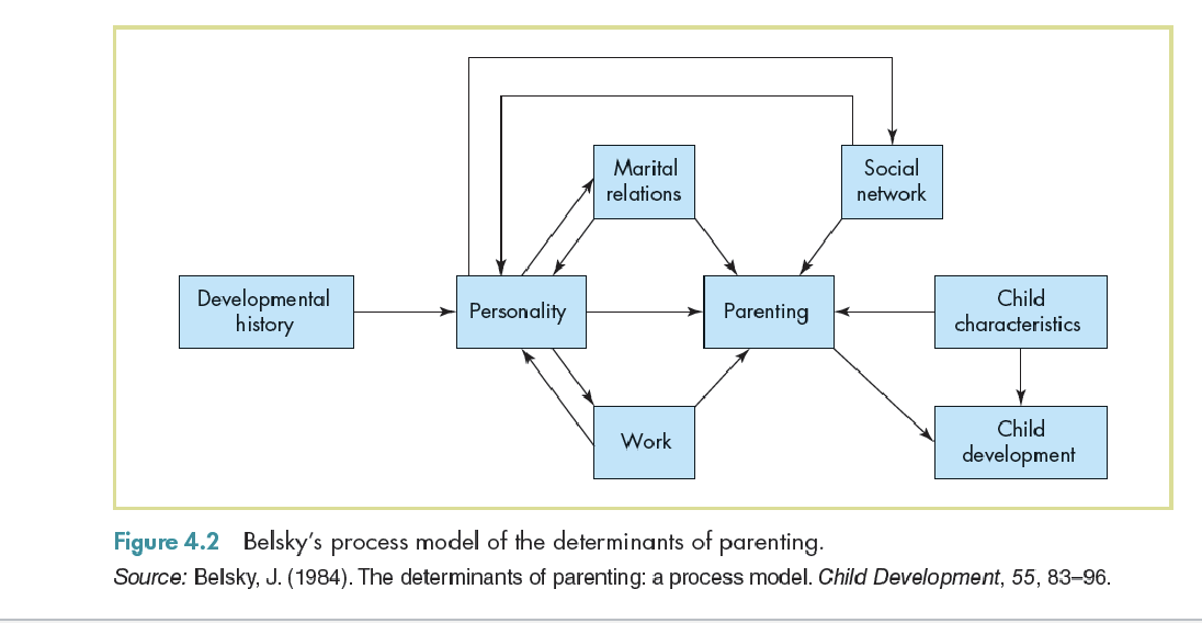 <p>A useful conceptualization of parental functioning (normal range of parenting). Distinguishes 3 main influences on the quality of parental functioning:</p><ol><li><p>Personal psychological resources of a parent - good mental health and healthy representation of relationships.</p></li><li><p>Contextual sources of support - financial support and emotional support from friends/family.</p></li><li><p>Characteristics of the child - whether they are of easy or difficult temperament. </p></li></ol><p></p>