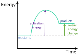 <p>The overall energy change is positive.</p>