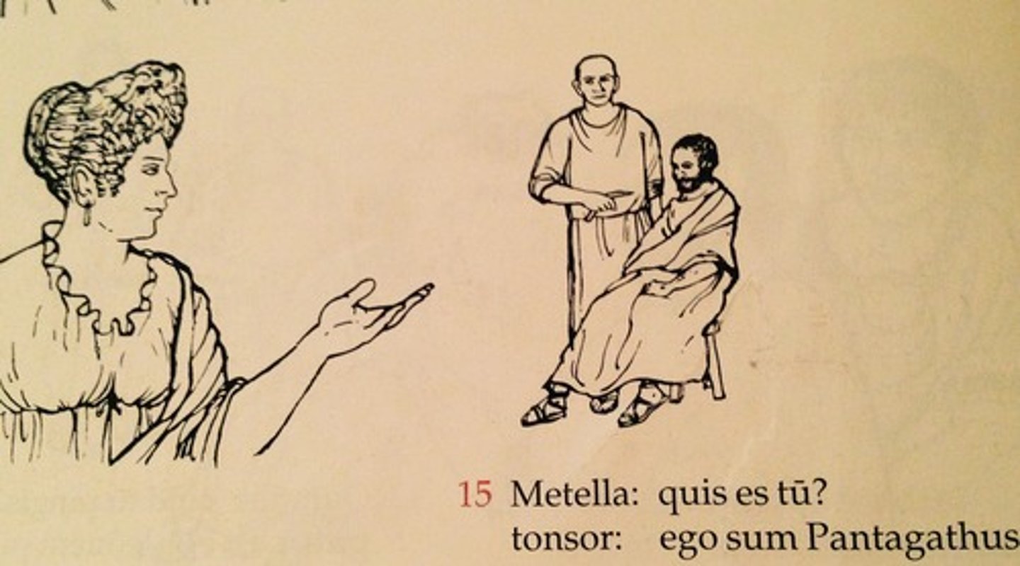 <p>Metella: Who are you?</p><p>barber: I am Pantagathus.</p>