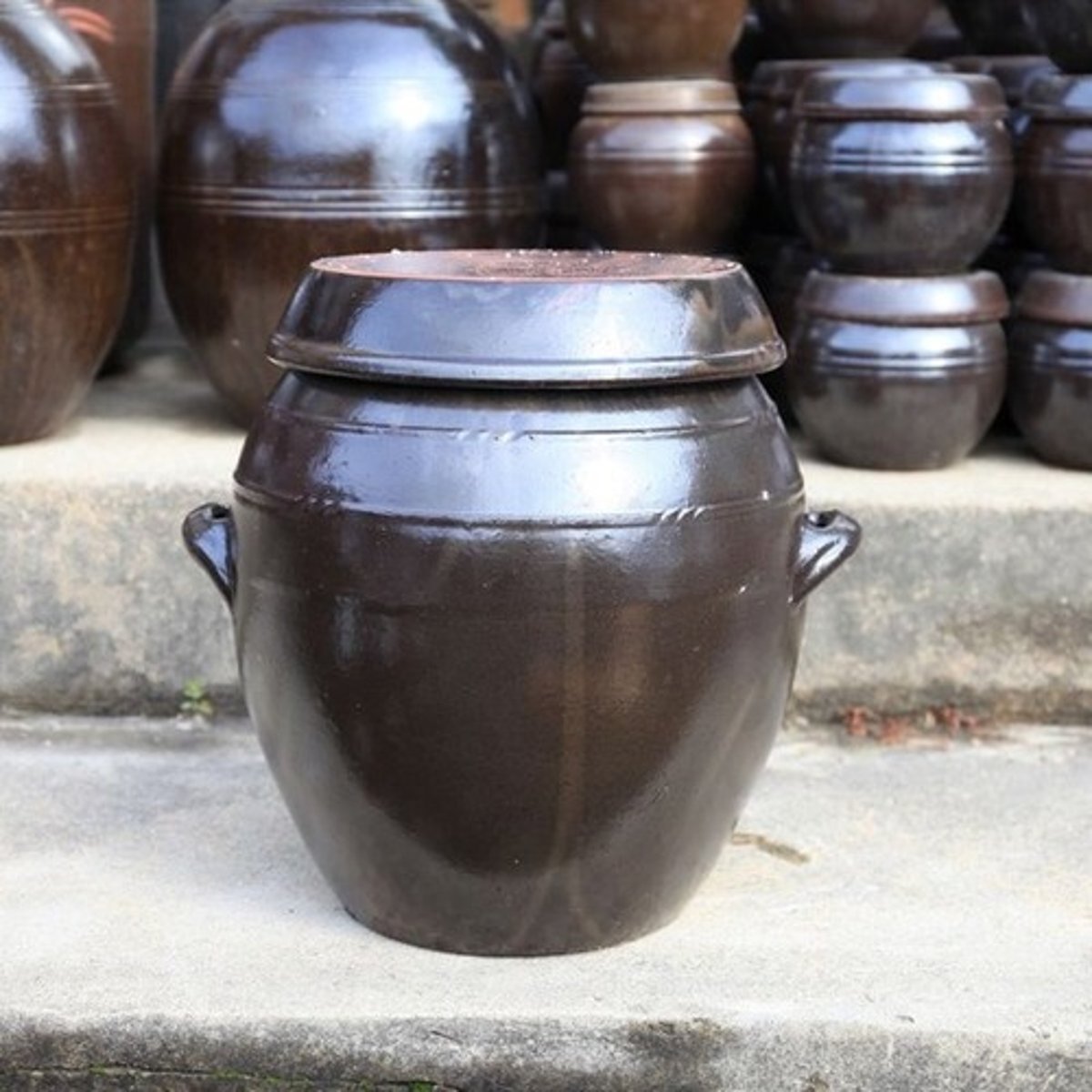 <p>fermented</p>