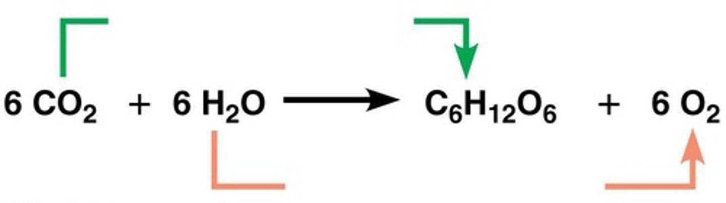 <p>Glucose (C6H12O6) and oxygen (O2).</p>